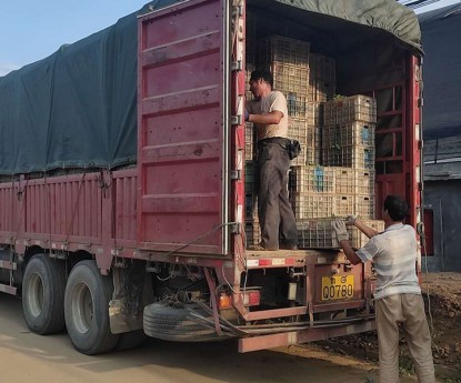 發(fā)貨現(xiàn)場(chǎng)