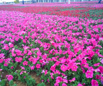 牽?；ɑê?></div>

                <div   id=