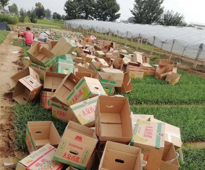 發(fā)貨現(xiàn)場(chǎng)