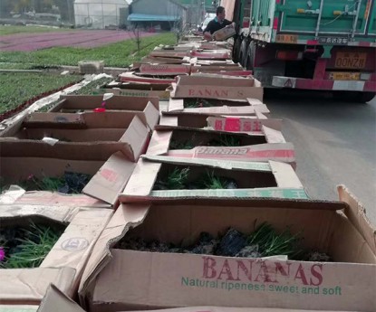 發(fā)貨現(xiàn)場(chǎng)