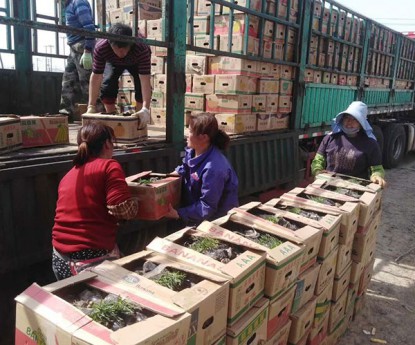 發(fā)貨現(xiàn)場(chǎng)