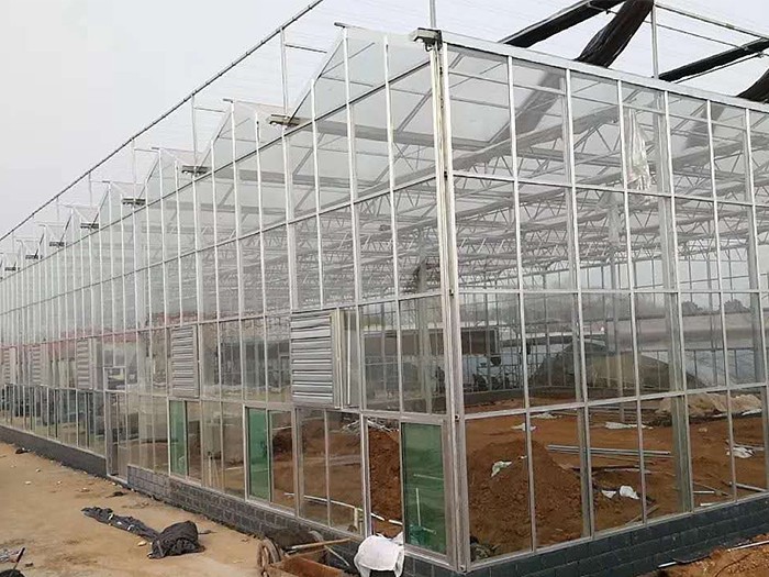 玻璃溫室